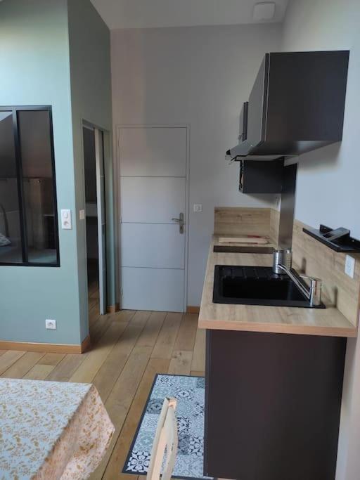 Appartement Le Saint Maur Neuville-du-Poitou Esterno foto