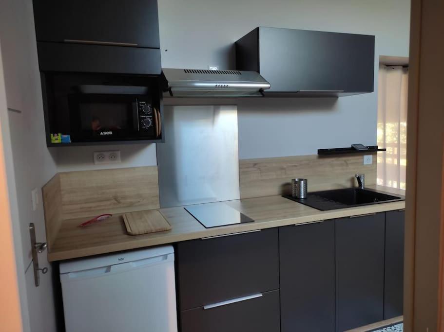 Appartement Le Saint Maur Neuville-du-Poitou Esterno foto